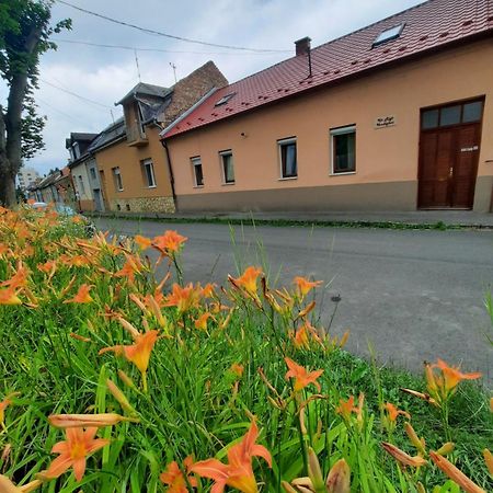 Kis Rigo Vendeghaz Hotell Salgótarján Exteriör bild