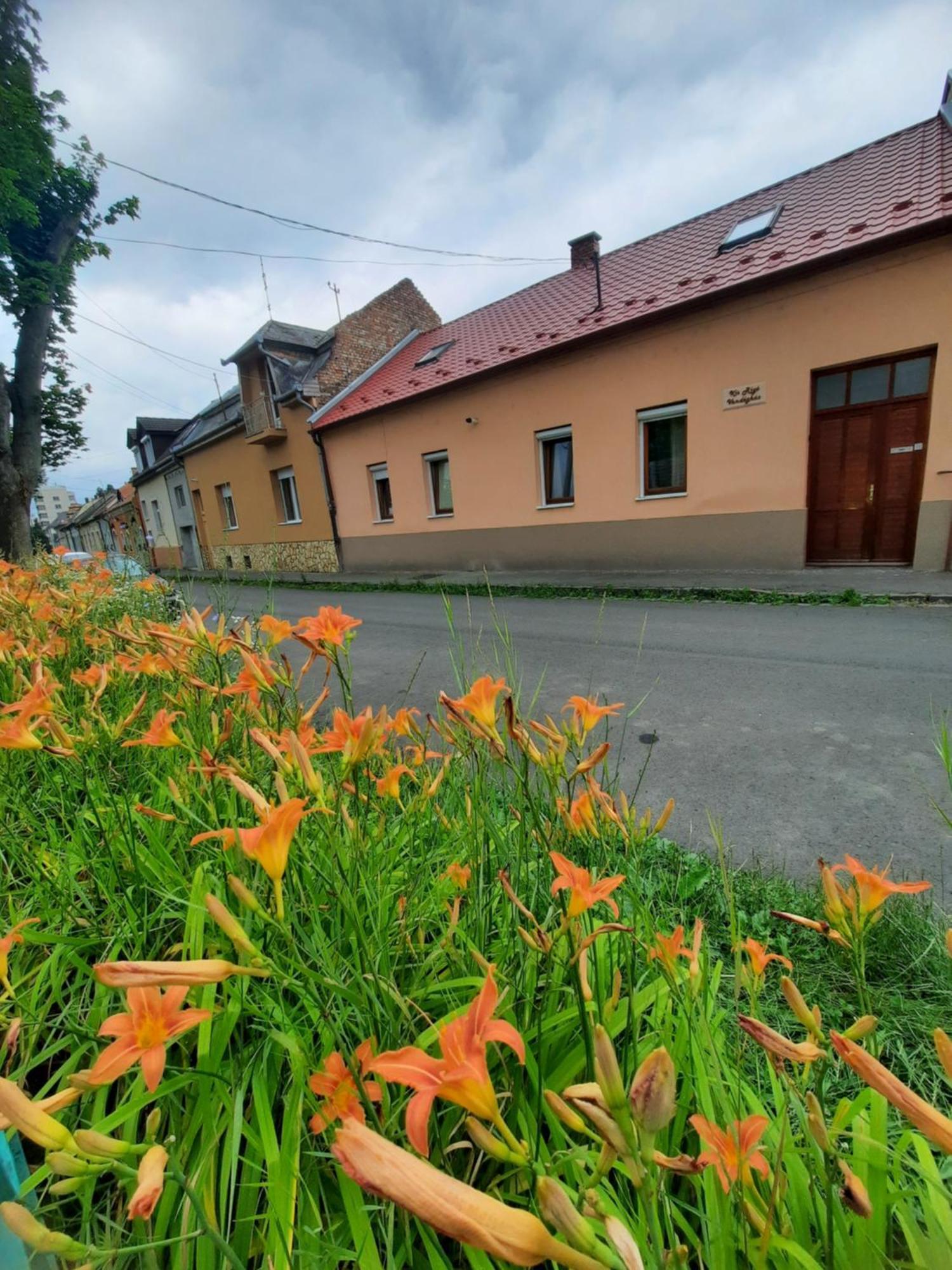 Kis Rigo Vendeghaz Hotell Salgótarján Exteriör bild